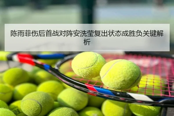 陈雨菲伤后首战对阵安洗莹复出状态成胜负关键解析